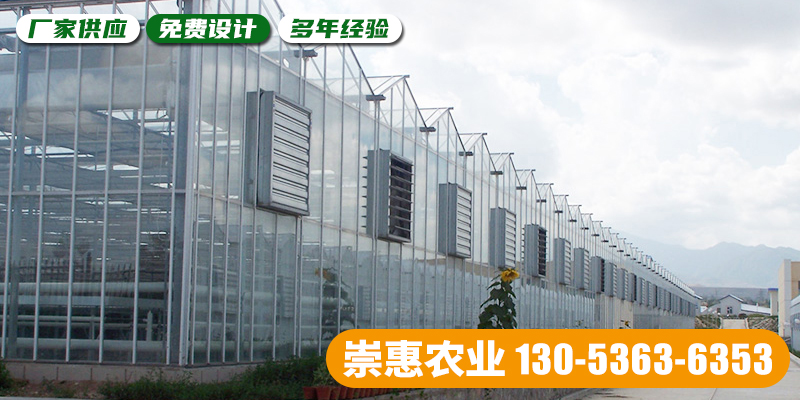 济宁市薄膜大棚玻璃大棚