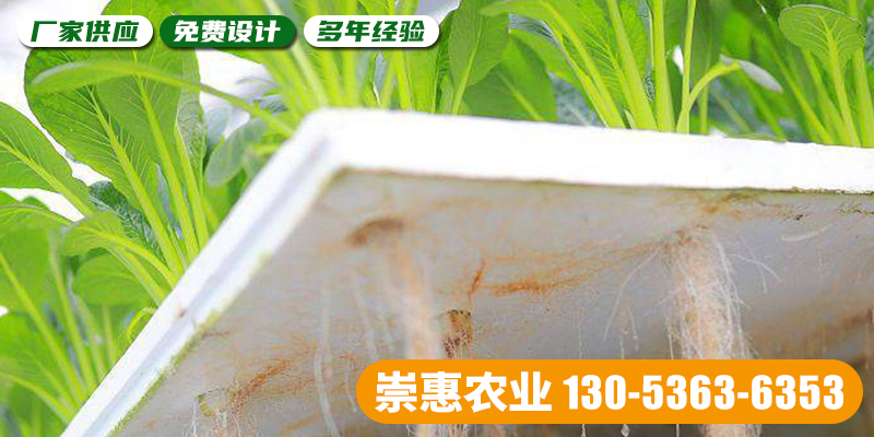 济宁市智慧农业薄膜大棚