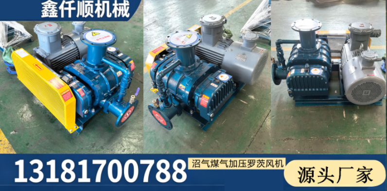 江门市污水处理罗茨鼓风机空气悬浮风机
