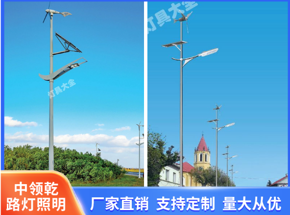 中领乾路灯照明案例图片