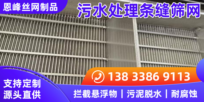 污水处理条缝筛网