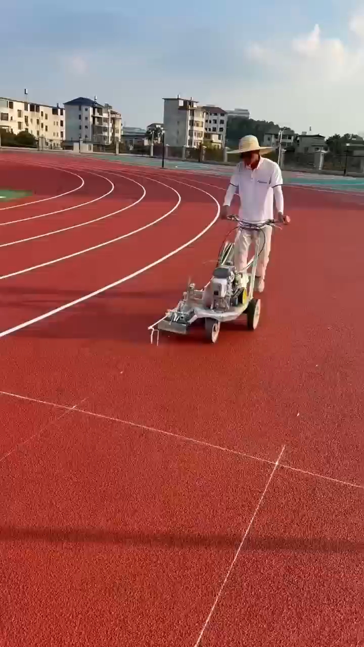 鼎峰体育案例图片