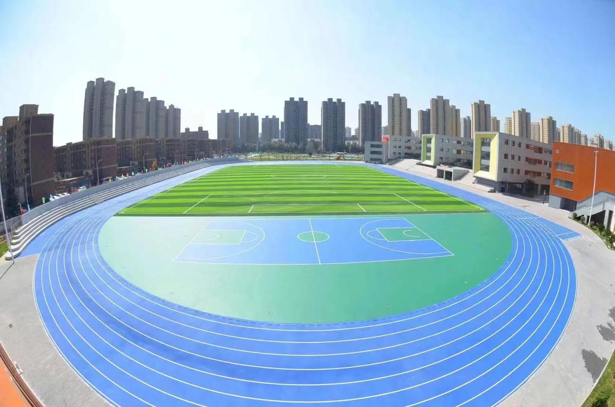 鼎峰体育案例图片