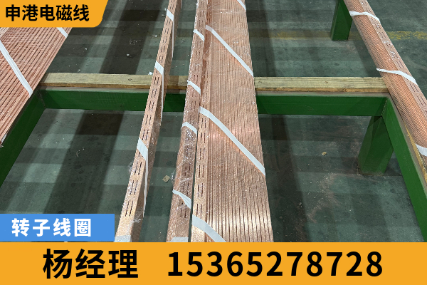 阿克苏地区磁极线圈上层定子线圈