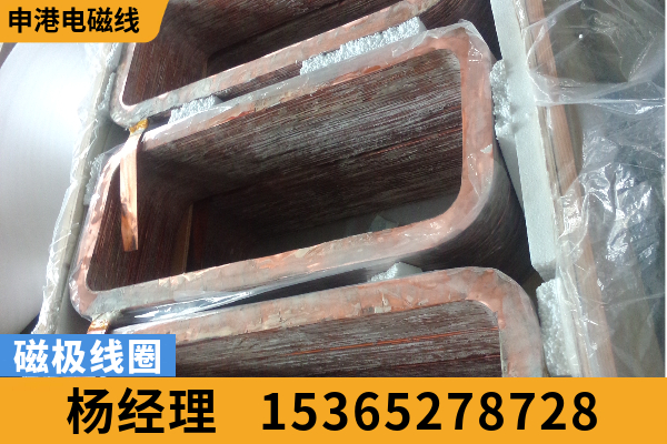阿克苏地区磁极线圈磁极线圏