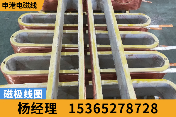 阿克苏地区磁极线圈极间连接线