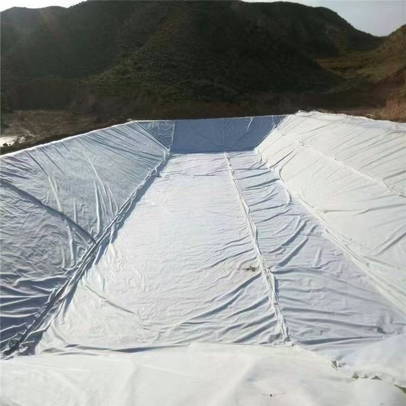 乌兰察布市土工加筋滤网复合pe土工膜