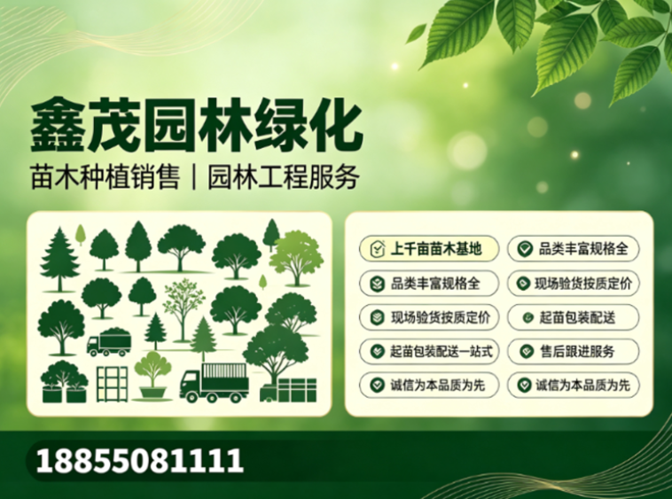 鑫茂园林绿化