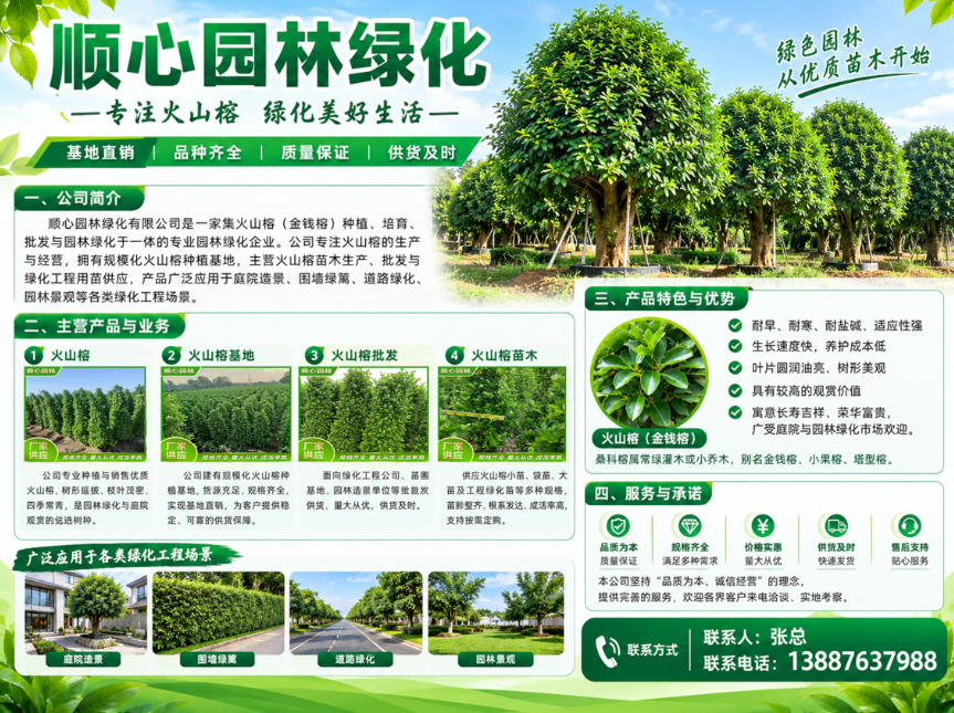 顺心园林绿化