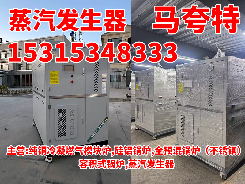 淮北市蒸汽发生器燃气蒸汽锅炉设备