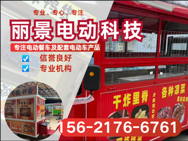 丽景电动