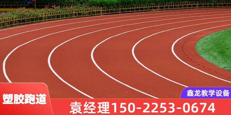 上海市环保塑胶跑道学校塑胶跑道