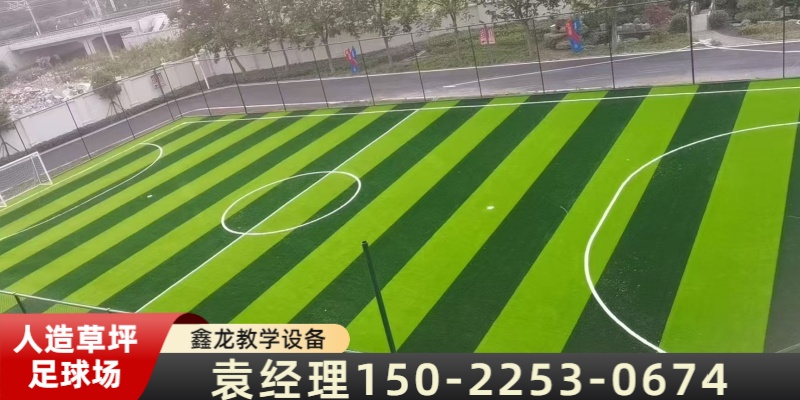 上海市人造草坪环保塑胶跑道
