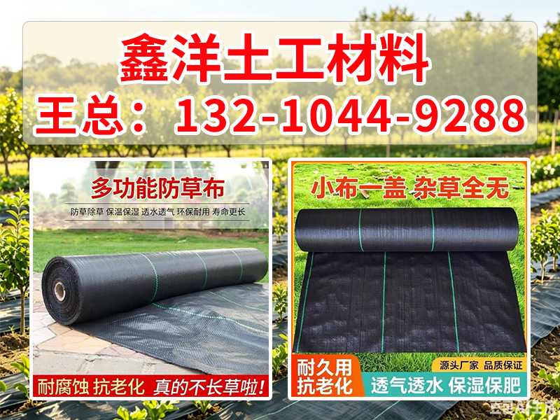 鑫洋土工材料案例图片