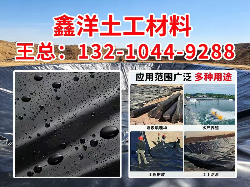 长春市鱼塘防渗膜聚乙烯防渗膜