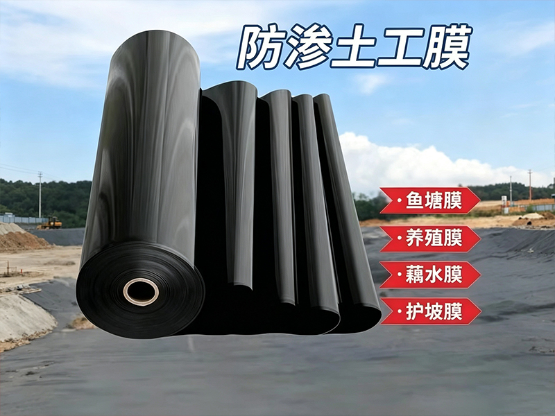 长春市鱼塘防渗膜加厚防渗膜