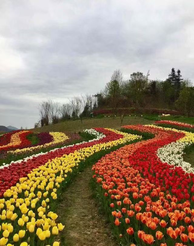 小马绿化案例图片