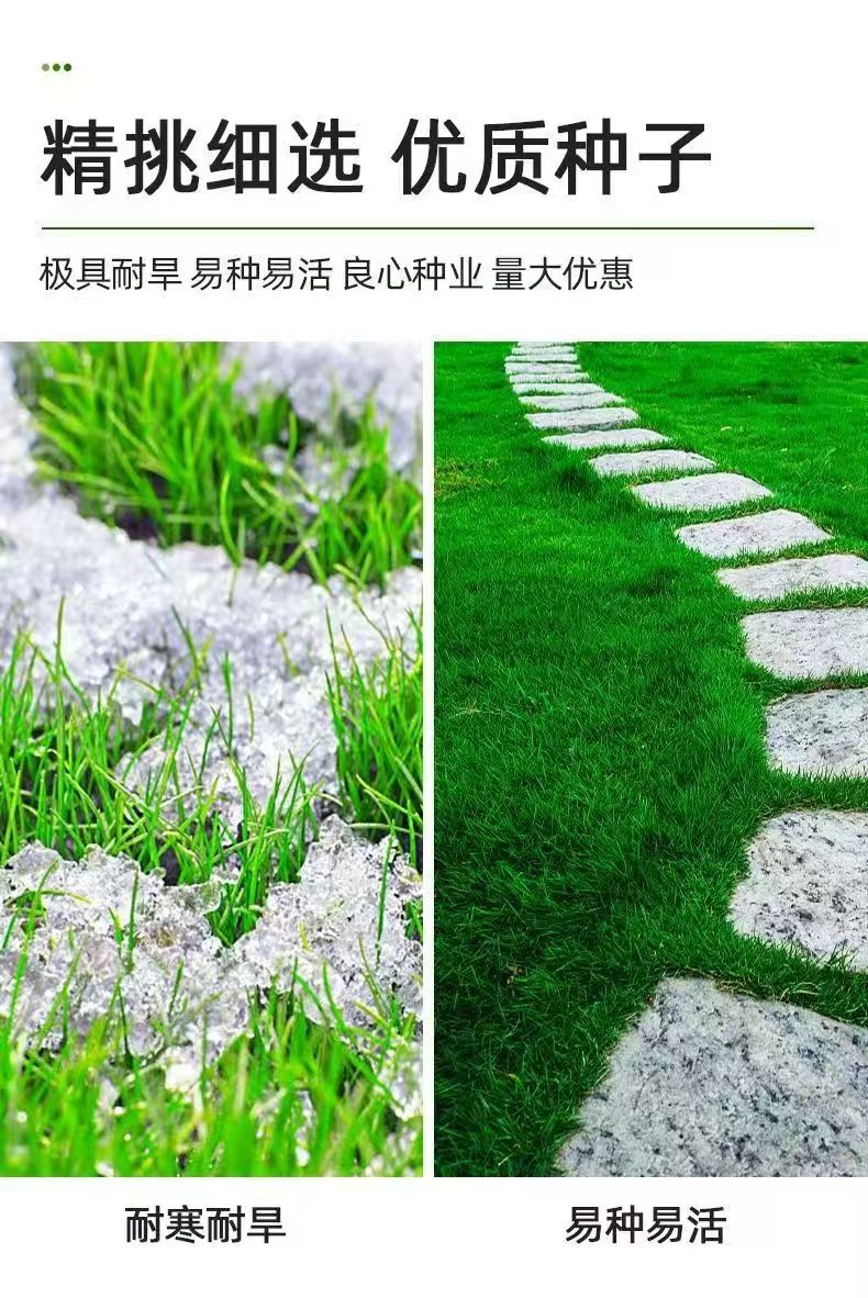 昌吉回族自治州矿山修复种子矿山修复种子