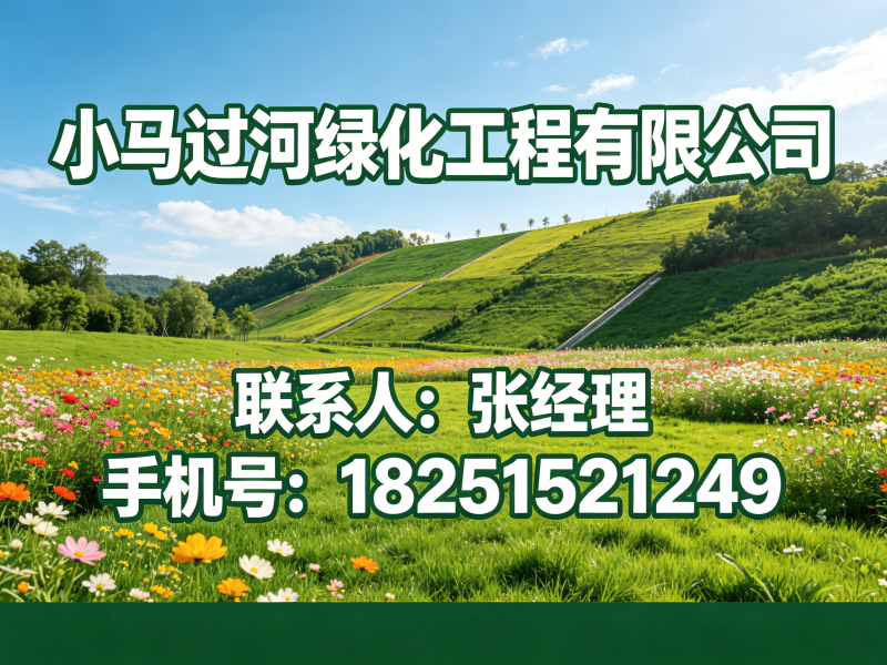 小马绿化