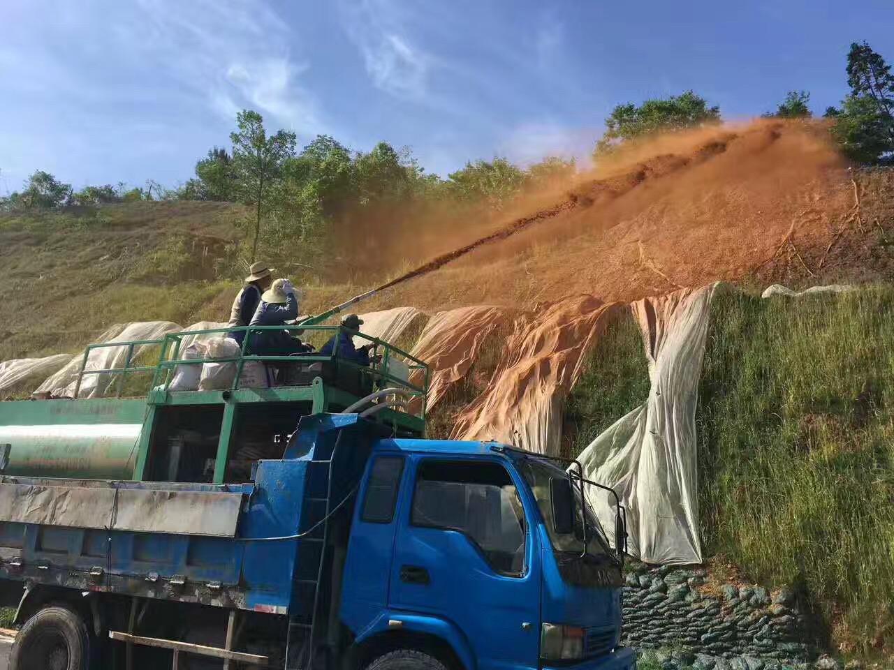 德程生态绿化案例图片