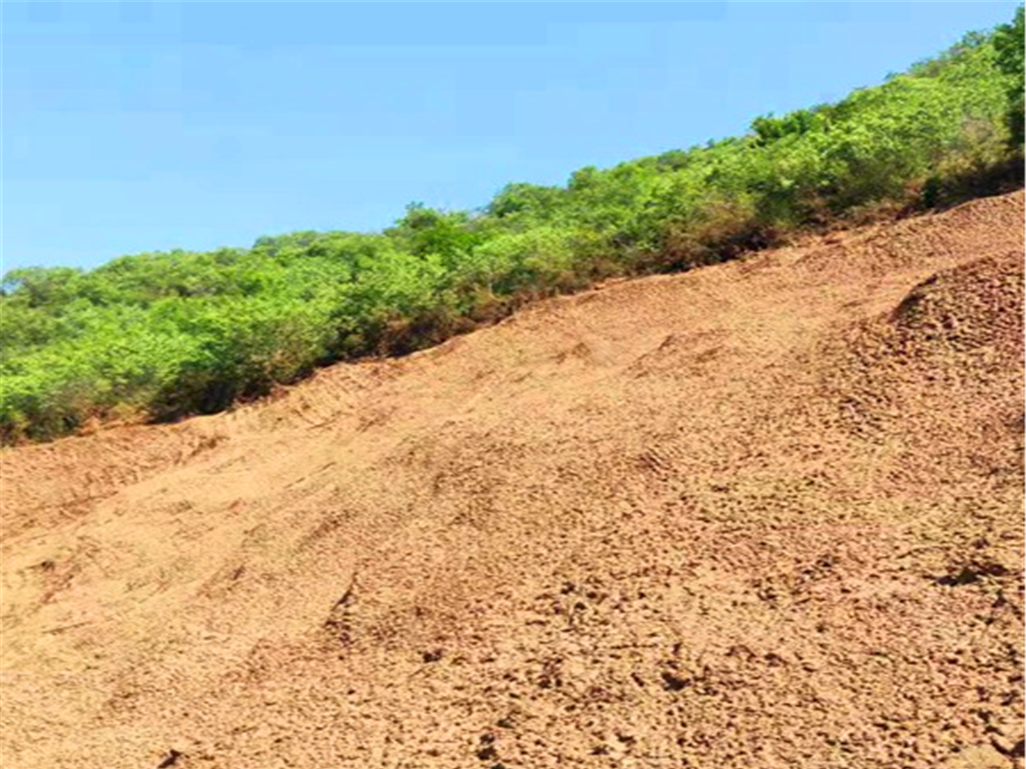 北京公路边坡绿化工程山体水土流失治理