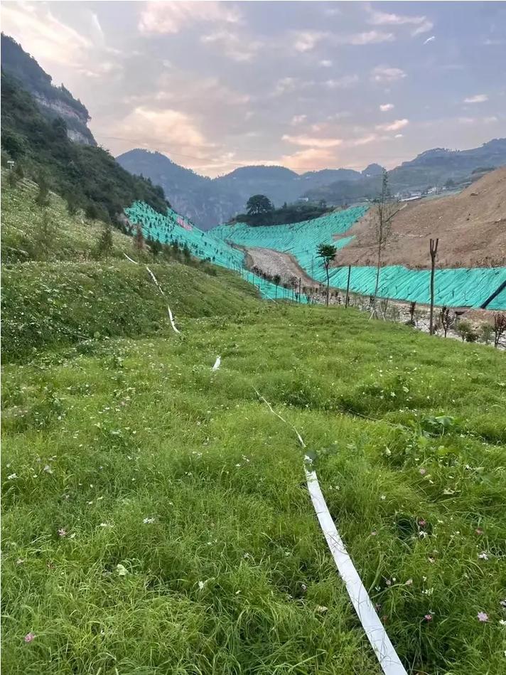 北京矿山绿化复绿公路边坡绿化工程