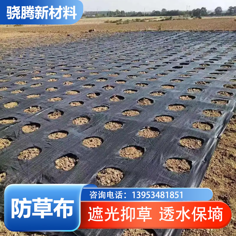 天津市防草布