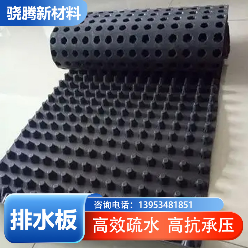 天津市HDPE 排水板