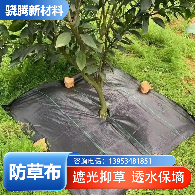 天津市果园防草布