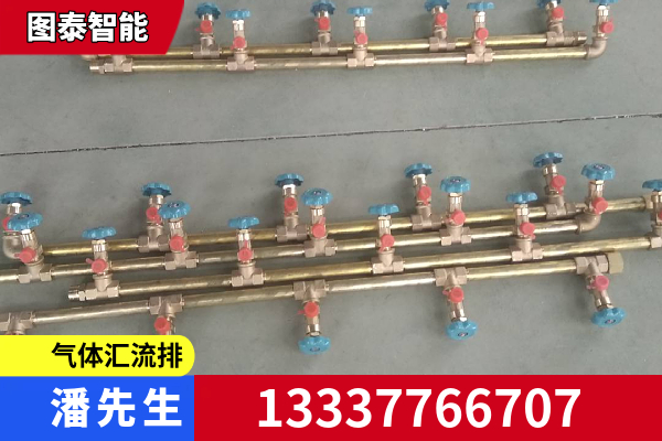 鹤壁市空温式汽化器气体汇流排