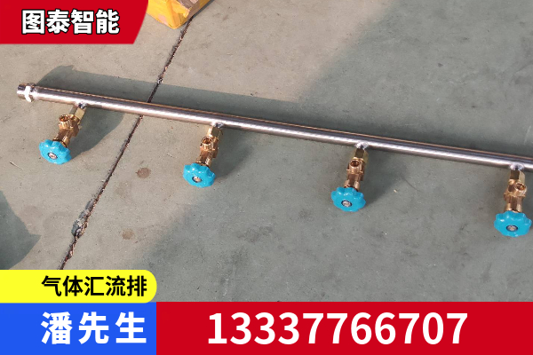 鹤壁市氮气汇流排空温式汽化器
