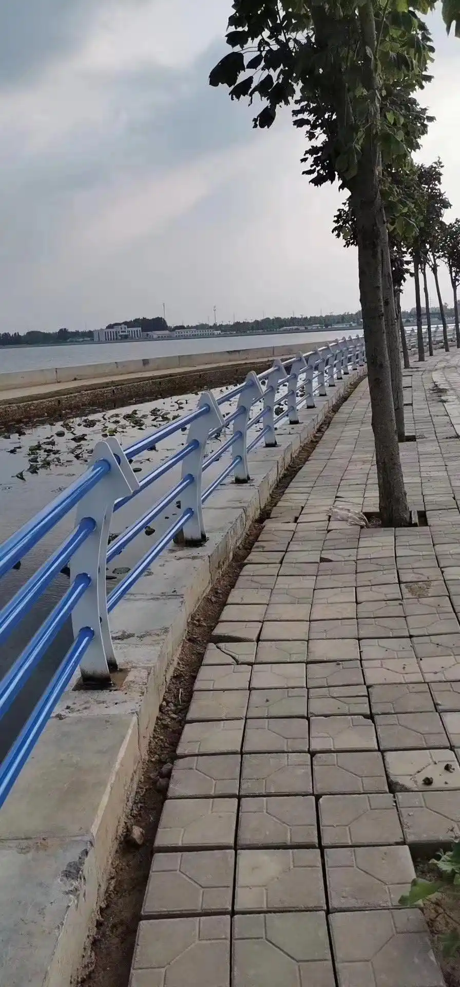 泰松金属丝网案例图片