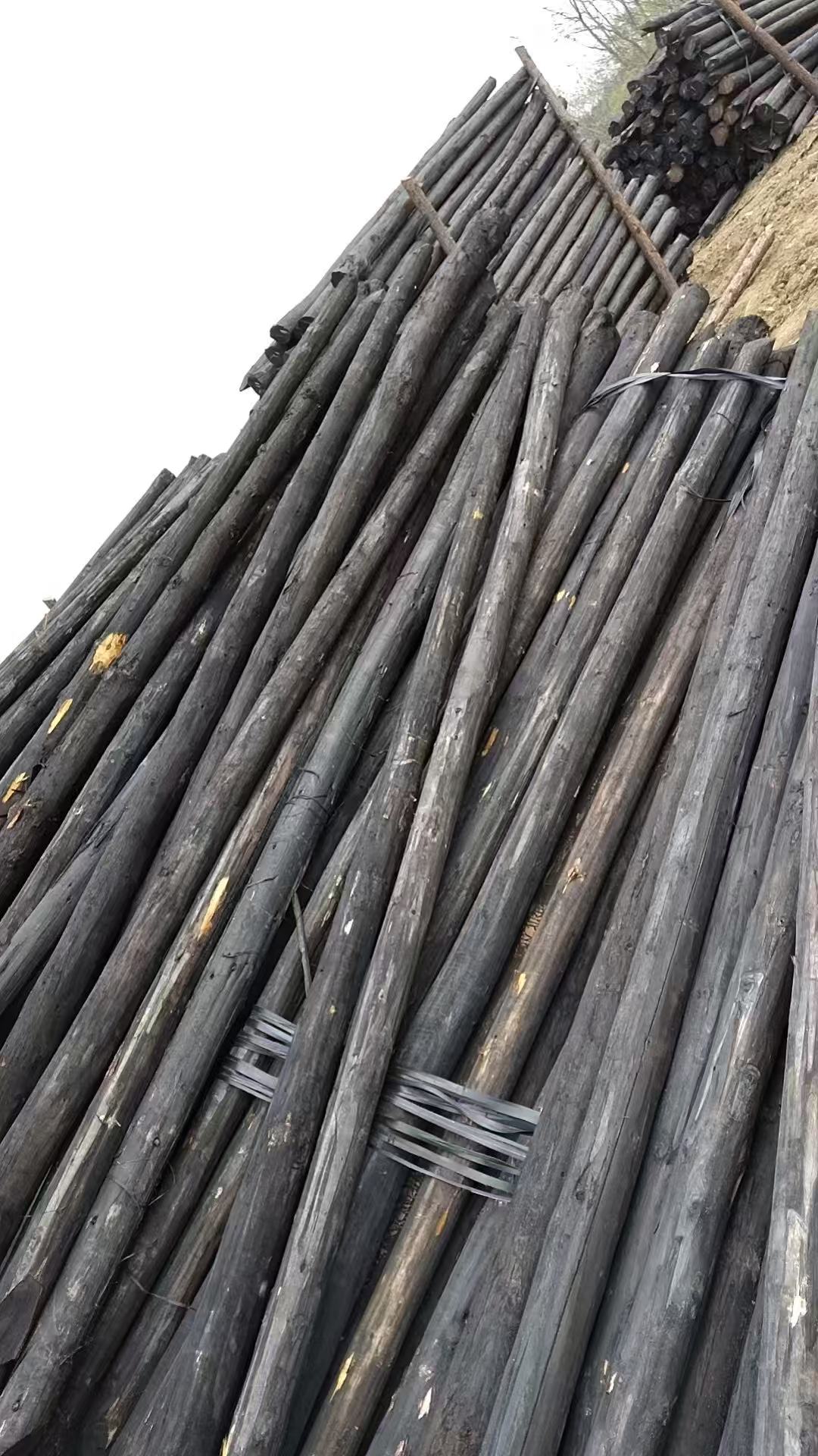 图木舒克市地基加固木桩
